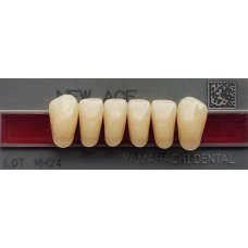 Зубы перед низ Anterior цв В4 фасон L8 (6шт) Yamahachi (Япония)