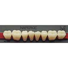 Зубы боковые низ Naperce Posterior цв А3,5 фасон 28 (8шт) Yamahachi (Япония)